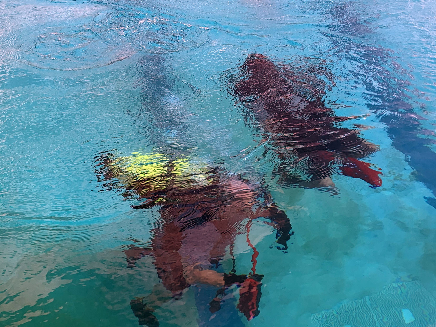 Underwater training